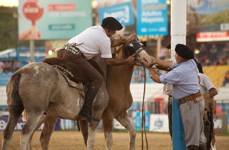 Gay can cuoc dua ngua truyen thong o Argentina-Hinh-7